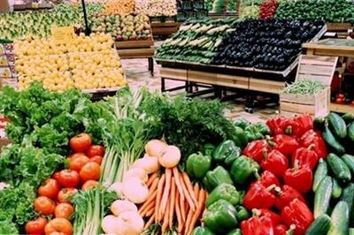 1月第二周食用農產品市場觀察 價格漲幅回落，供需趨穩